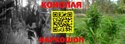 винт Нальчик