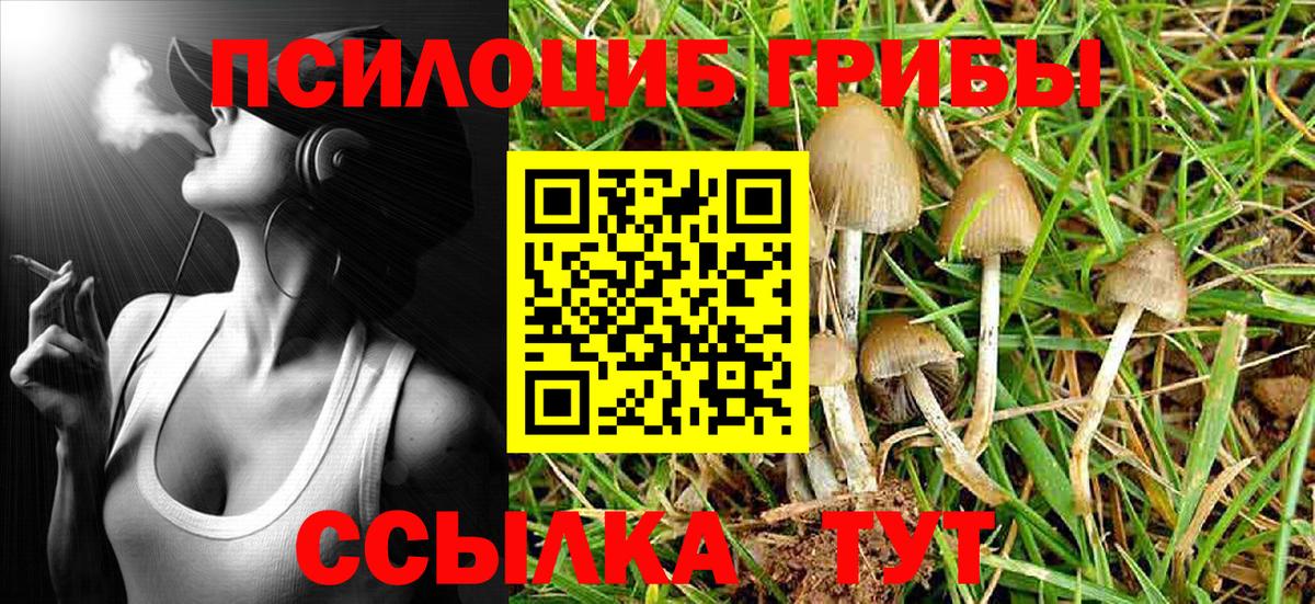 где можно купить наркотик  Галлюциногенные грибы Psilocybine cubensis  Псилоцибиновые грибы GOLDEN TEACHER  Вход с VPN  Тамбов 