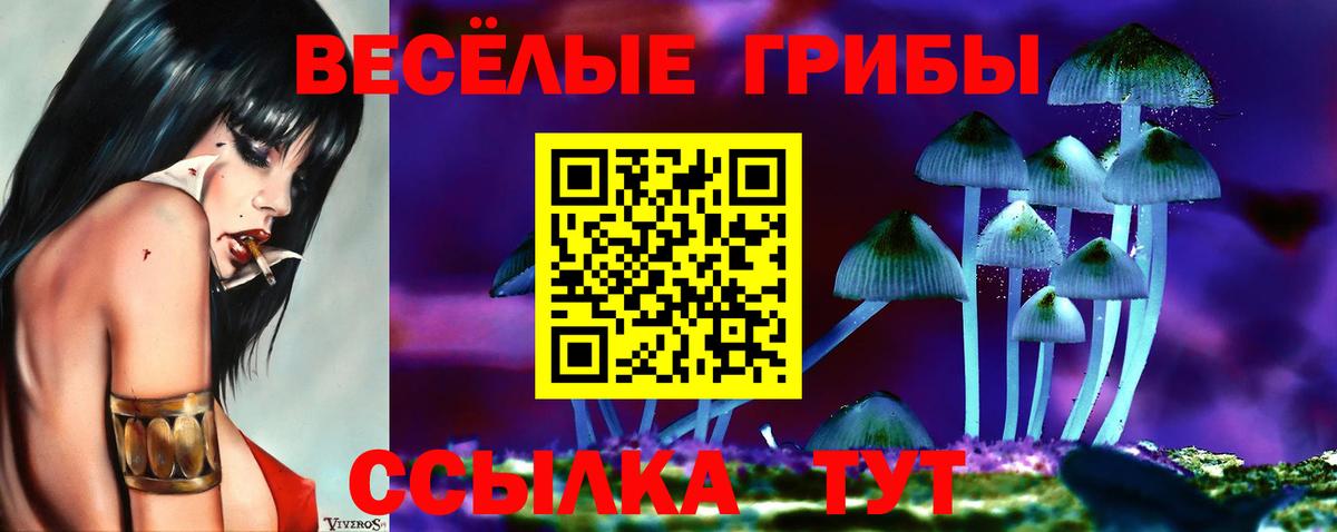 Галлюциногенные грибы Cubensis Тамбов